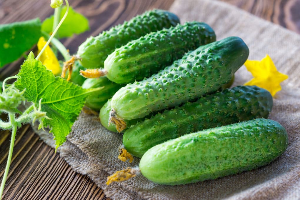 Storing Cucumbers » Best Ways to Keep Them Fresh