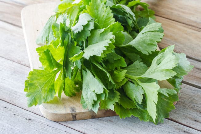 What to Do With Your Celery Leaves » Don't Toss Them