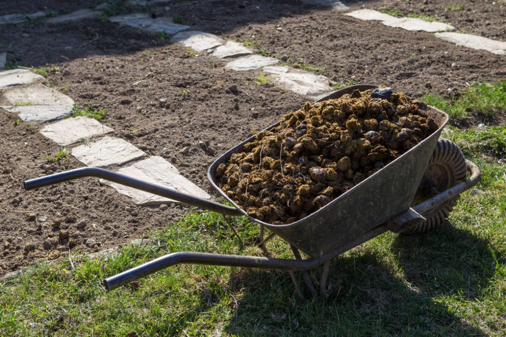 pumpkins-in-planters-is-easy-as-pie