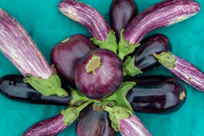 How to Tell When Japanese Eggplant Is Ripe - Garden.eco