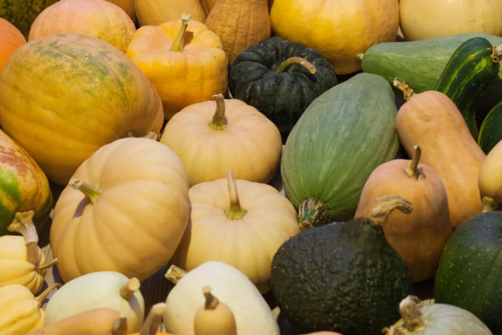 How To Store Spaghetti Squash Keeping It Fresh And Tasty