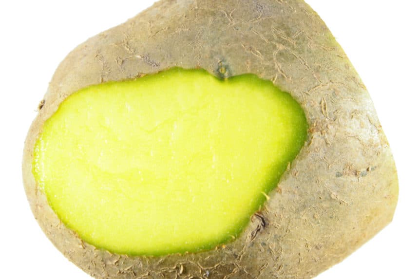 Why Are Potatoes Green 187 Top Reasons Explained