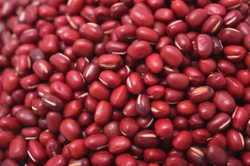 Red Bean Plants » Top Tips on Types and Growing