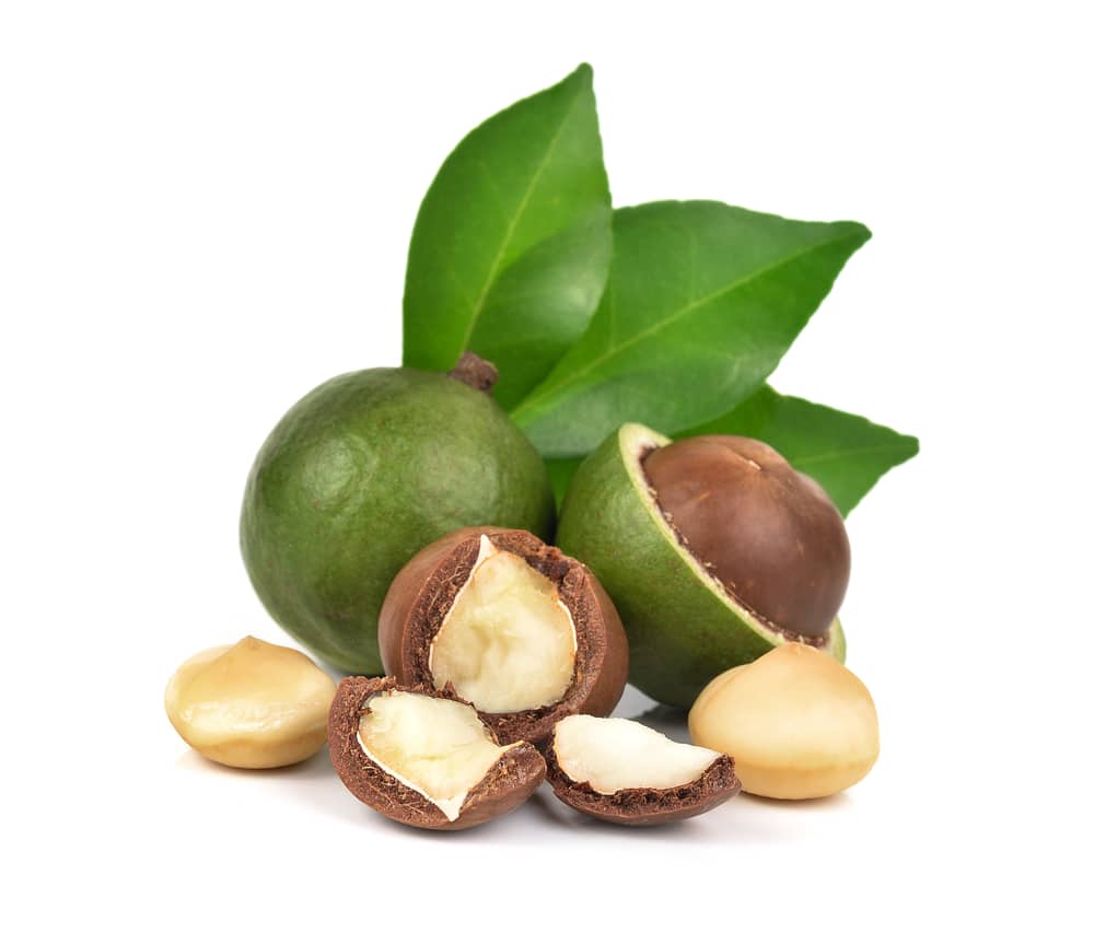 How Do Macadamia Nuts Grow Top Facts