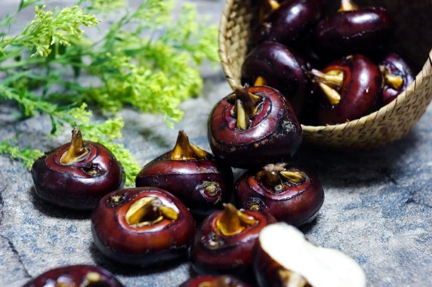 Where Do Water Chestnuts Grow? » Top Tips & Facts