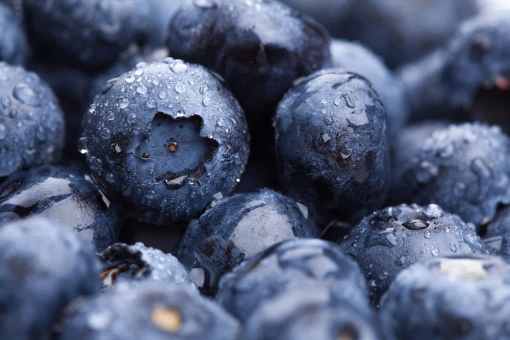 Do Blueberries Have Seeds? » Top Facts