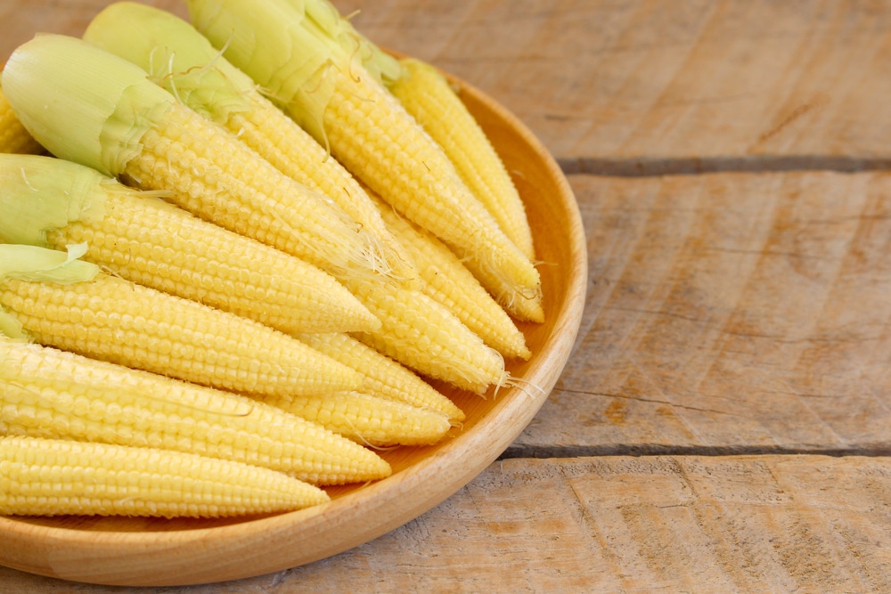 How To Grow Baby Corn Top Tips