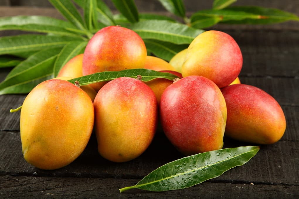 types-of-mango-in-india-10-best-mango-varieties-in-india