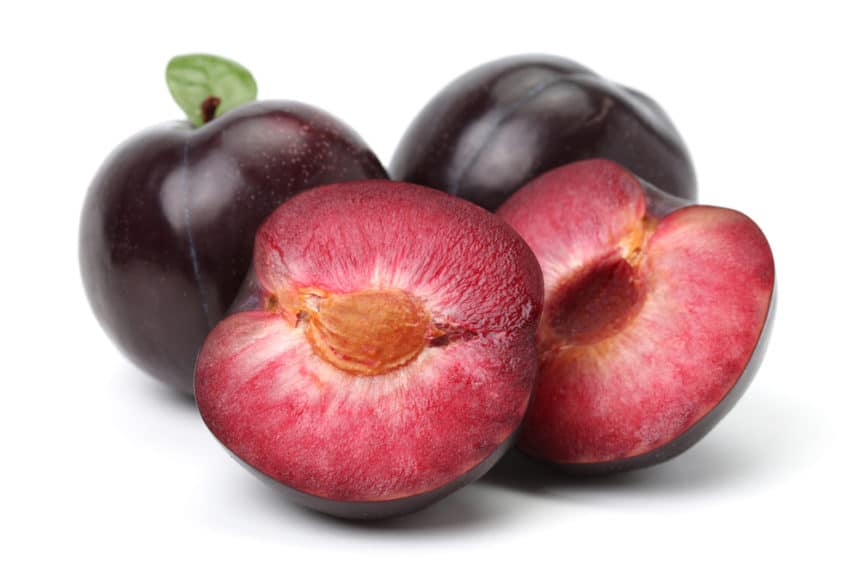 Do Plums Have Pits Or Seeds? - Garden.eco