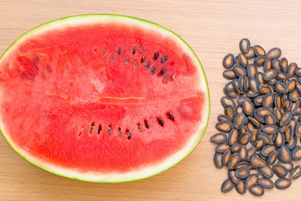 How Do You Save Watermelon Seeds For Next Year