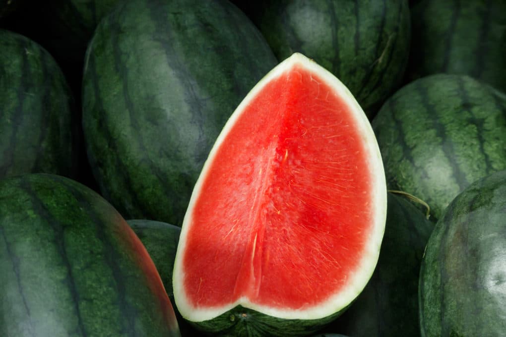 where-do-watermelons-grow-top-facts-tips