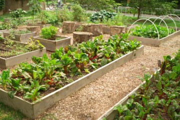 Gardening Community - Garden.eco