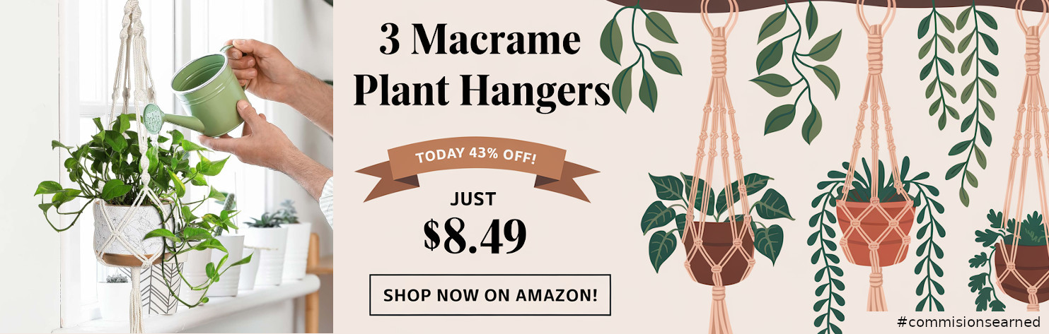 Holiday Garden Deals - Desktop Banner